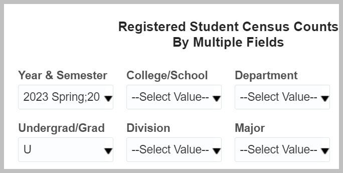 Census by Multiple Fields prompts