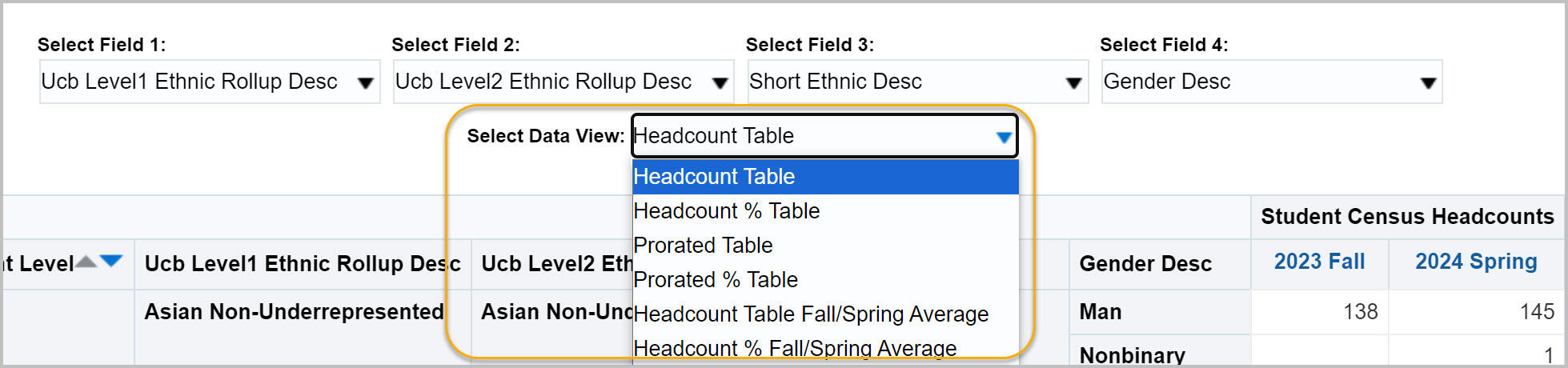 Report with data views highlighted