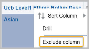 Report column context sensitive menu with Exclude column highlighted