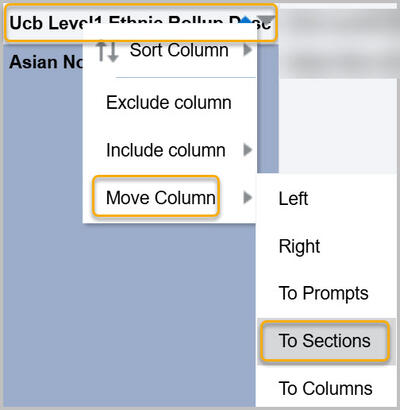 Move column to sections with Ucb Level2 Ethnic Rollup selected